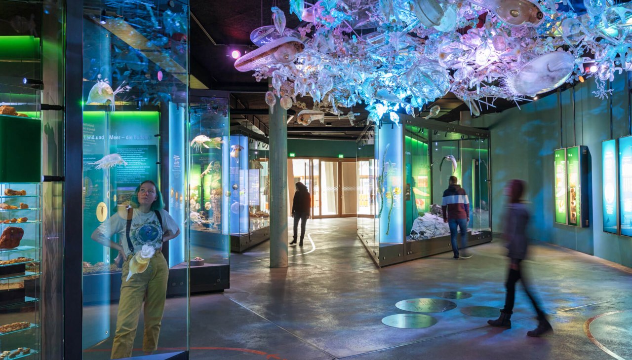 De Oostzee met planktonwolk in het OZEANEUM, © Anke Neumeister/Deutsches Meeresmuseum De Oostzee met planktonwolk in het OZEANEUM, © Anke Neumeister/Deutsches Meeresmuseum