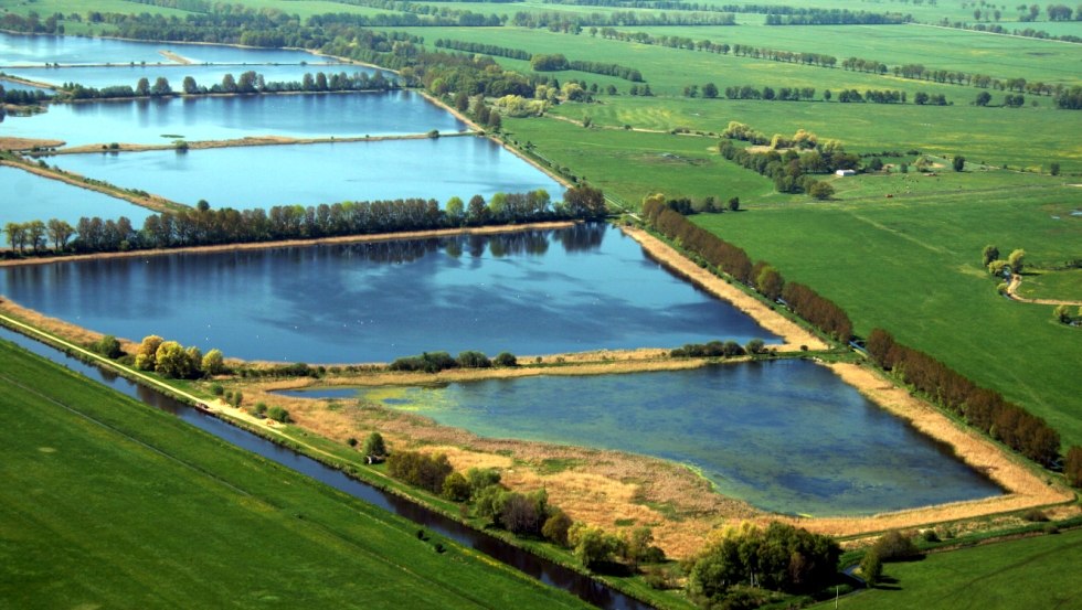 De Lewitz visvijvers vanuit vogelperspectief., © Tourismusverband Mecklenburg-Schwerin e.V. / Ralf Ottmann