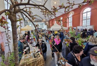 &copy; Biosph&auml;renreservatsamt S&uuml;dost-R&uuml;gen