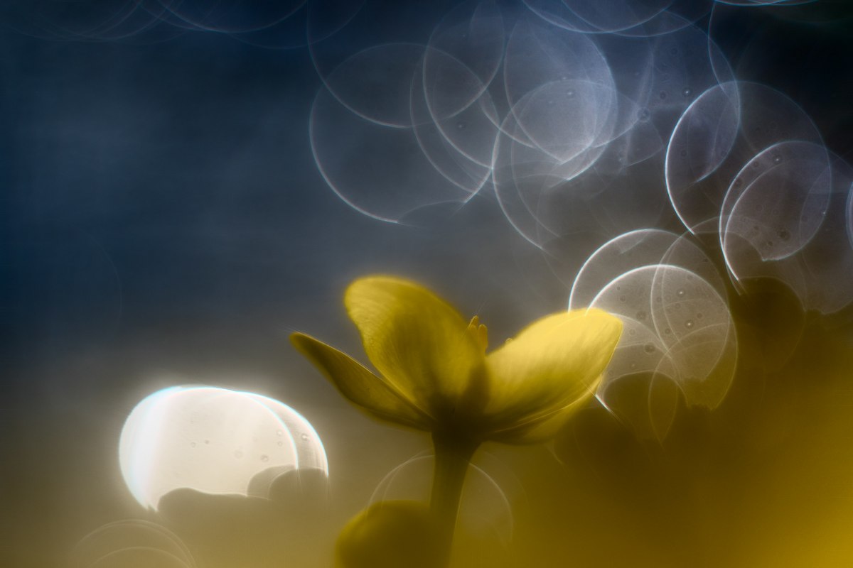 Fotografia historyczna z użyciem starych obiektyw&oacute;w, &copy; Ralf Mitterm&uuml;ller