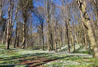 &copy; Kurverwaltung Goehren