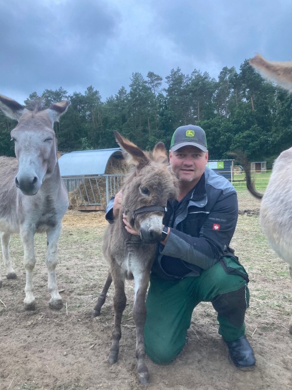 Landbouw in Freest // &copy; henry Sch&ouml;nrock