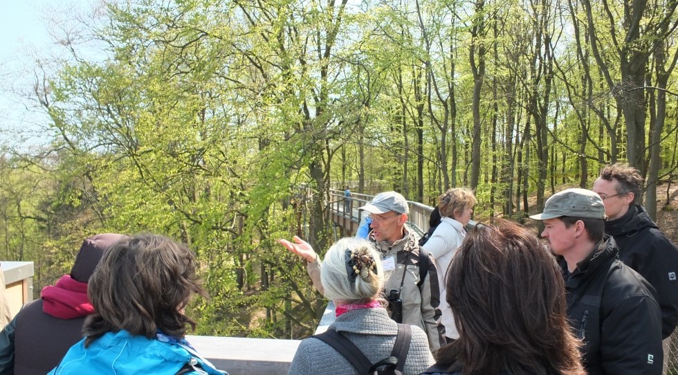 Rondleiding over de boomtoppenwandeling door een gecertificeerde natuur- en landschapsgids // © Martin Hagemann Rondleiding over de boomtoppenwandeling door een gecertificeerde natuur- en landschapsgids // © Martin Hagemann