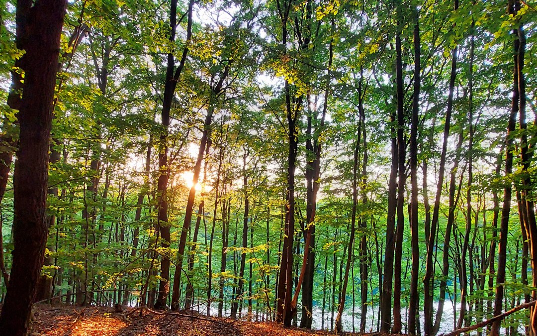 20210618_203754, &copy; Britta Kietzmann