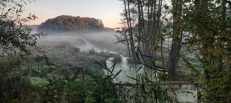 &copy; Andreas Ermisch