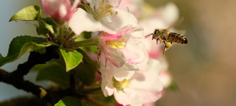 &copy; Evelin Kartheuser