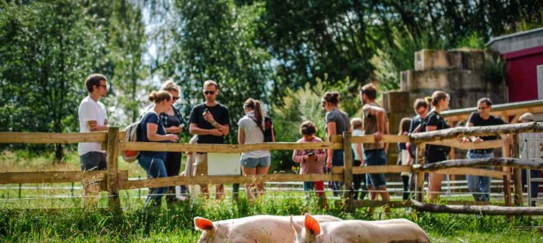 &copy; Land der Tiere