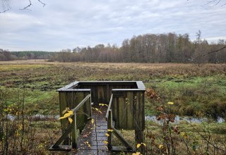 &copy; NPA M&uuml;ritz