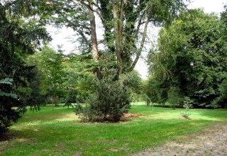 Park area // &copy; Sabrina Wittkopf-Schade