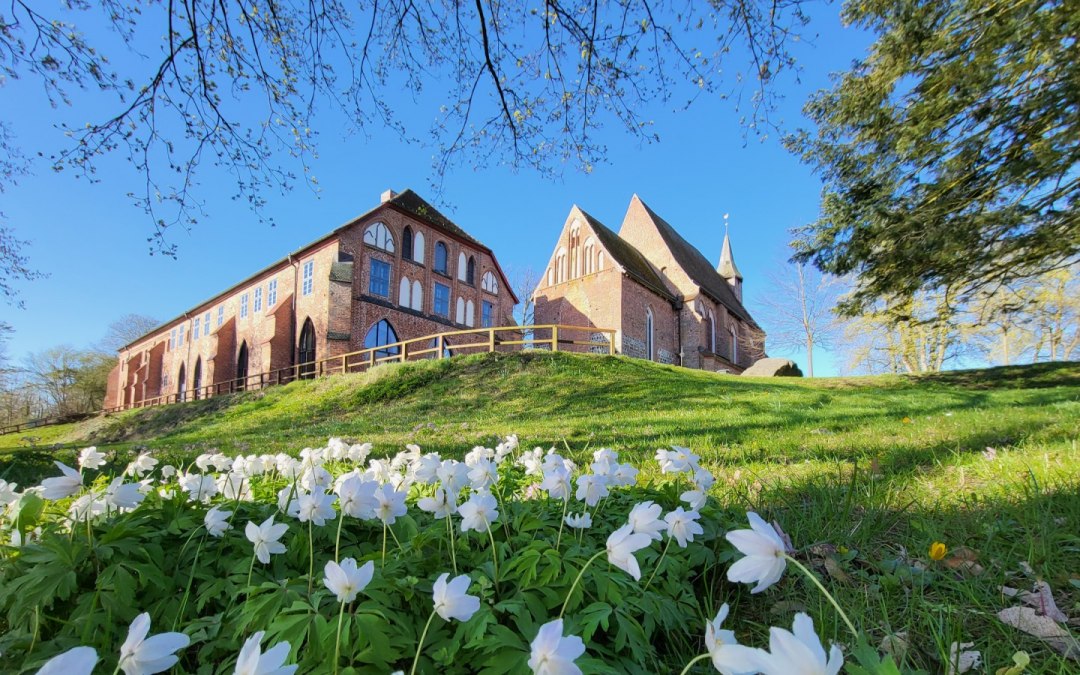 Kloster Zarrentin Anemonen_kl169, © Tourismusverband Mecklenburg-Schwerin