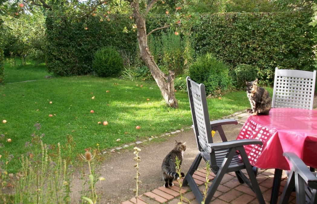 Garden and sitting area of the apartment, © Heidegunde Voigtländer