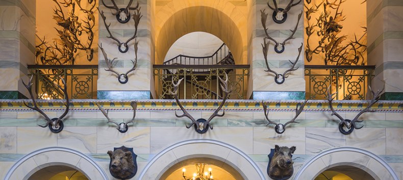 &copy; SSGK M-V Fotograf Timm Allrich