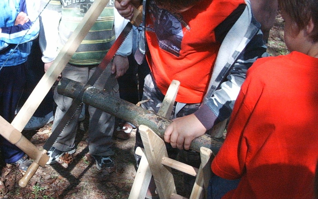 Lumberjack_competition_for_children_Peter_Pupils, © Plakat