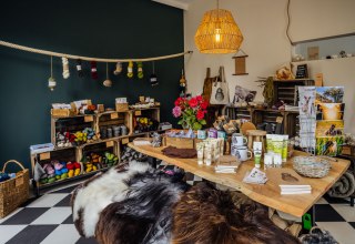 Store, © calling sheep Store, © calling sheep