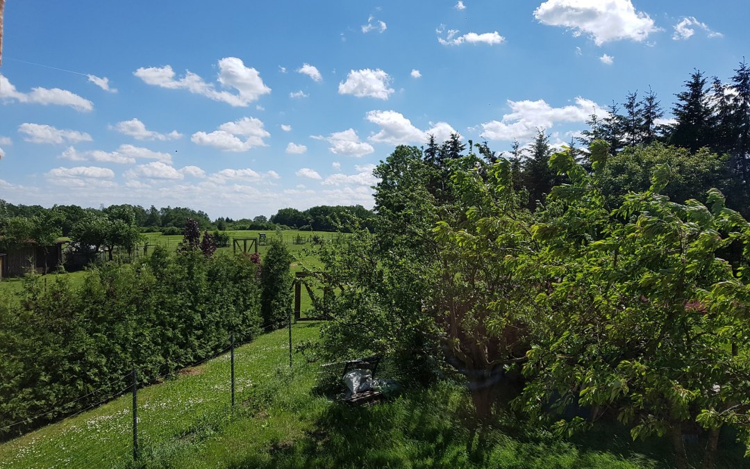 From the bedroom window you have a wonderful view of the vast landscape, © H. Pooyeh