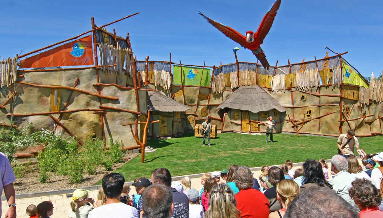 Spotkanie na pokazie zwierząt, © Vogelpark Marlow/Zöger Spotkanie na pokazie zwierząt, © Vogelpark Marlow/Zöger