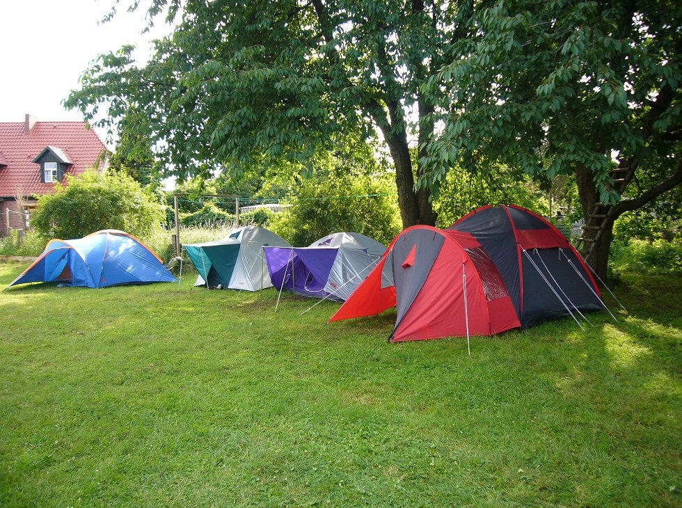 De camping is een kleine, rustige plek, deels onder grote kersenbomen en met een open weide., © Pension Alte Schule Rieth