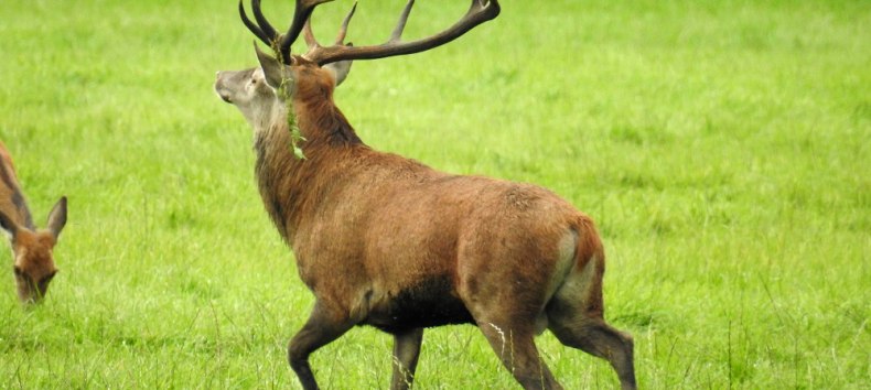 © Bernd Wefer © Bernd Wefer