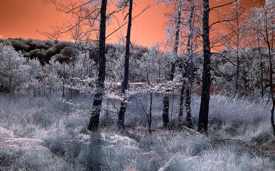 © Art Photo Verlag Klaus Ender