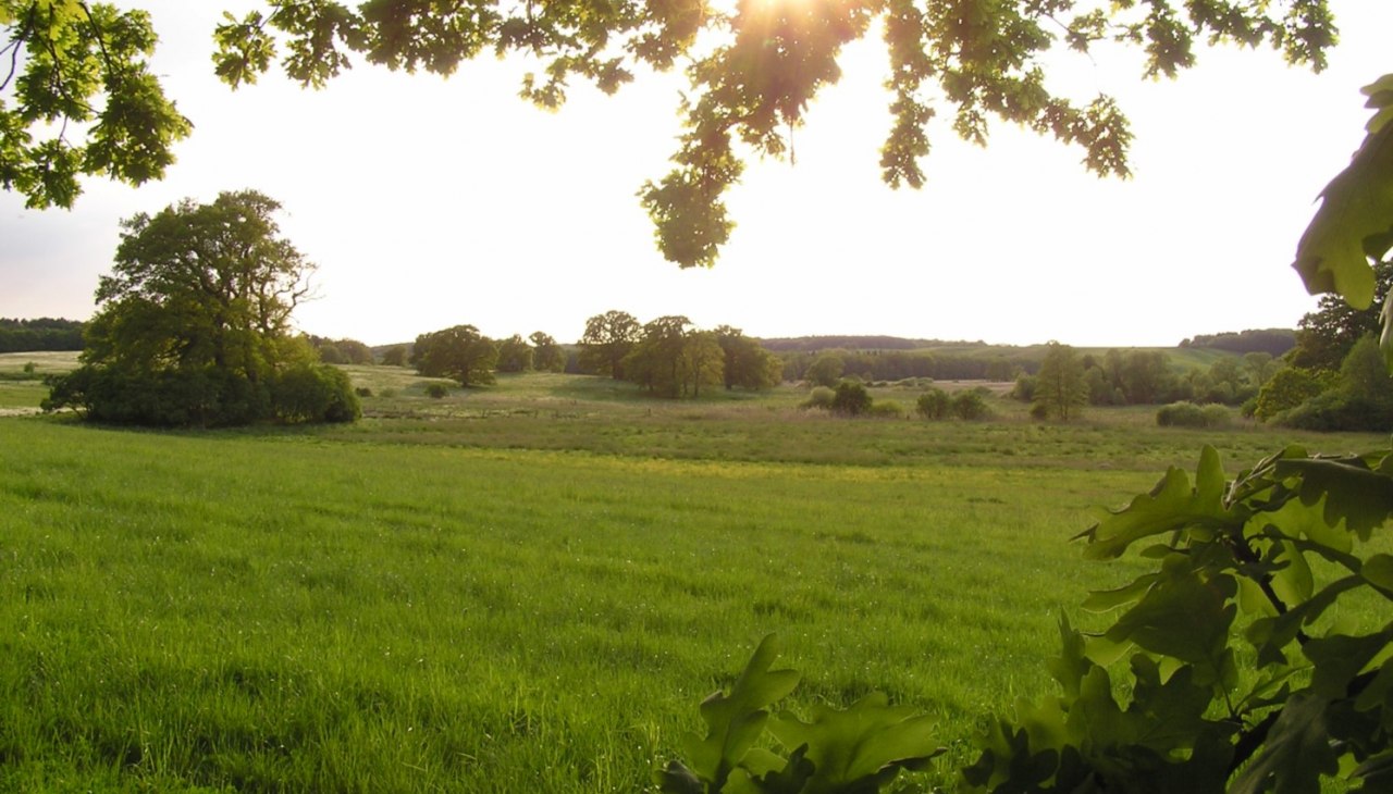 In de Recknitz vallei bij Liepen, &copy; Oliver Hellweg