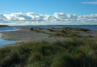 © Nationalparkamt Vorpommern