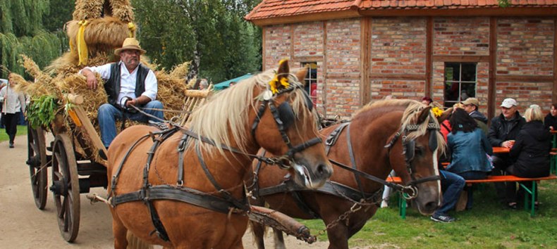 Festumzug // © Freilichtmuseum Klockenhagen Festumzug // © Freilichtmuseum Klockenhagen