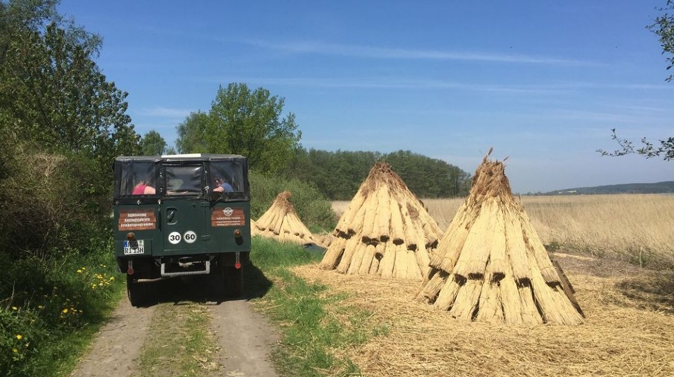Pijphuren uit het verleden voor nieuwe daken, &copy; Volker Barthmann