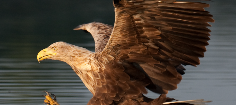 &copy; Kurverwaltung M&ouml;nchgut