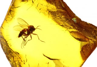 © Björn Wylezich - Fotolia © Björn Wylezich - Fotolia