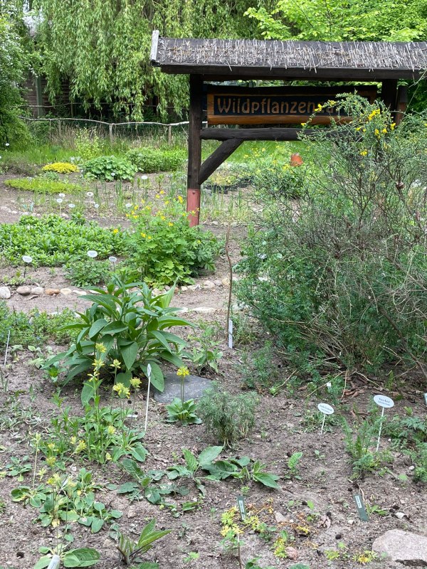 Wilde plantentuin, &copy; Annette Schmidt