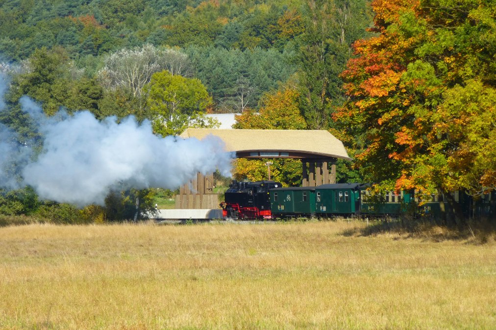 Baabe_Moenchguttor_Rasender-Roland_c_Gero-Schreiber, © Gero Schreiber Baabe_Moenchguttor_Rasender-Roland_c_Gero-Schreiber, © Gero Schreiber