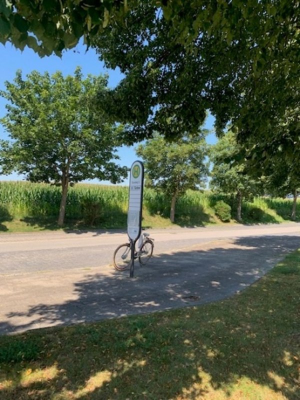 &copy; Manja Bernhardi