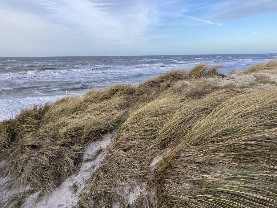 Dune_Baltic_Sea_Beach_KB&auml;rwald_1800, &copy; Nationalparkamt Vorpommern