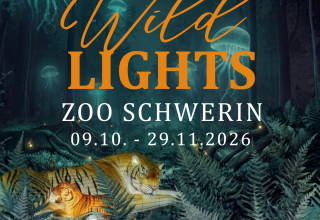 Wild Lights Zoo Schwerin // © Zoo Schwerin Wild Lights Zoo Schwerin // © Zoo Schwerin
