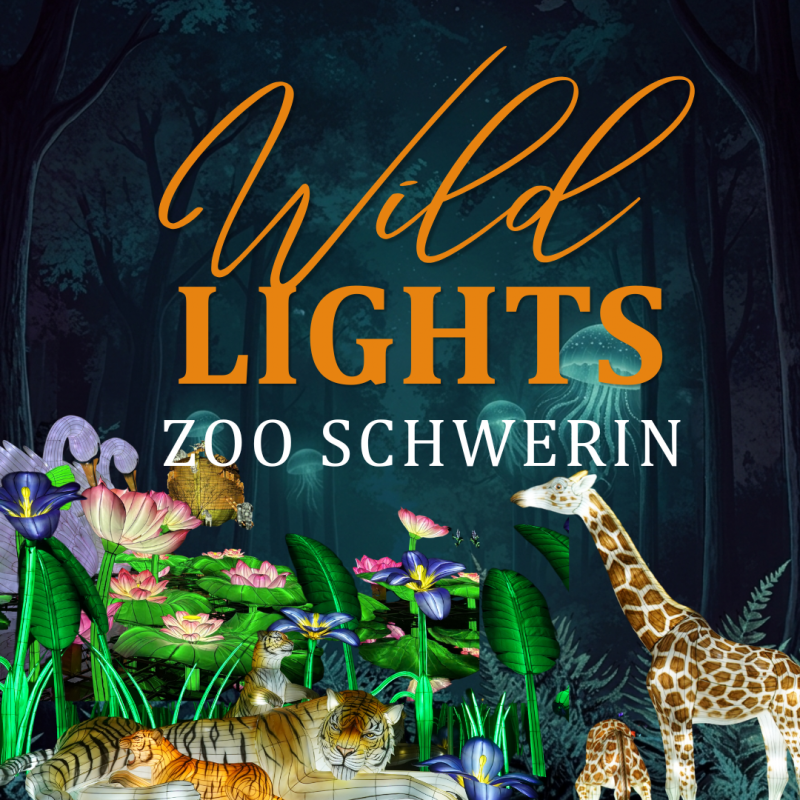 Wild Lights Zoo Schwerin // &copy; Zoo Schwerin