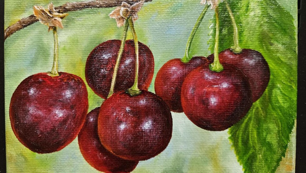 Kirschen am Ast&copy;Manfred Metschurat, &copy; Manfred Metschurat