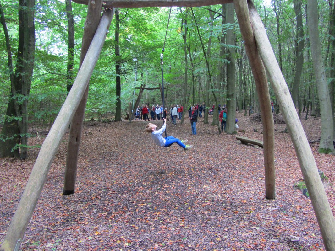 Kabelbaan op het avonturenpad door het bos