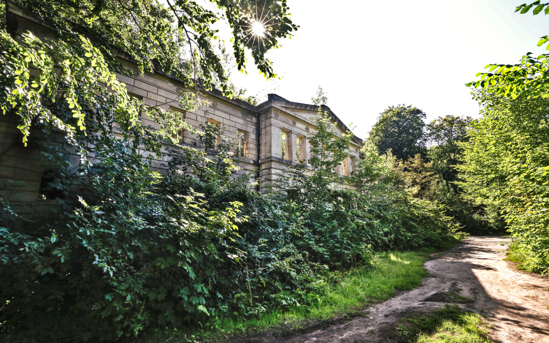 kasteel-ruïnes-wasieden_1, © TMV/Gohlke