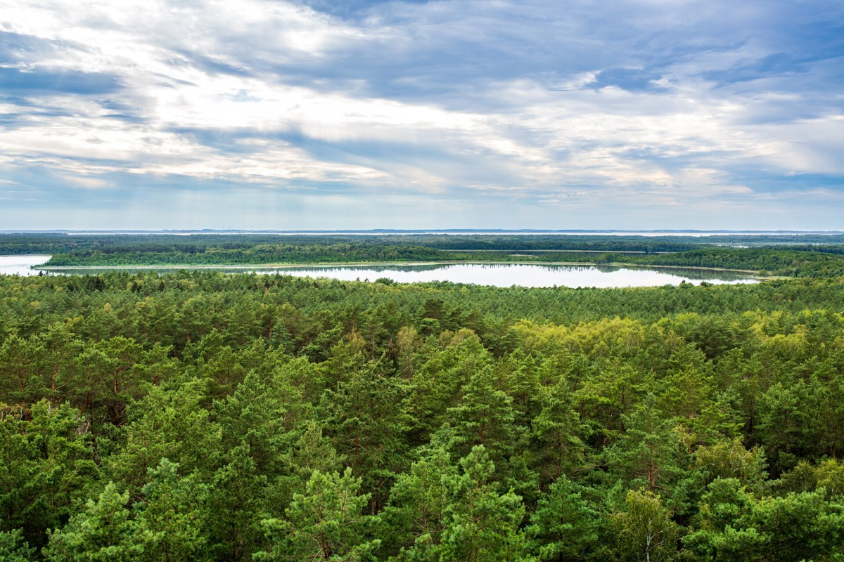 Natuurobservatie in het Mecklenburgse merengebied, &copy; TMV/Tiemann