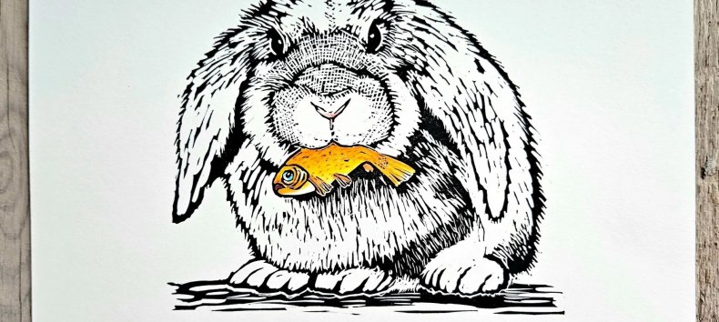 © Marta Olejko © Marta Olejko