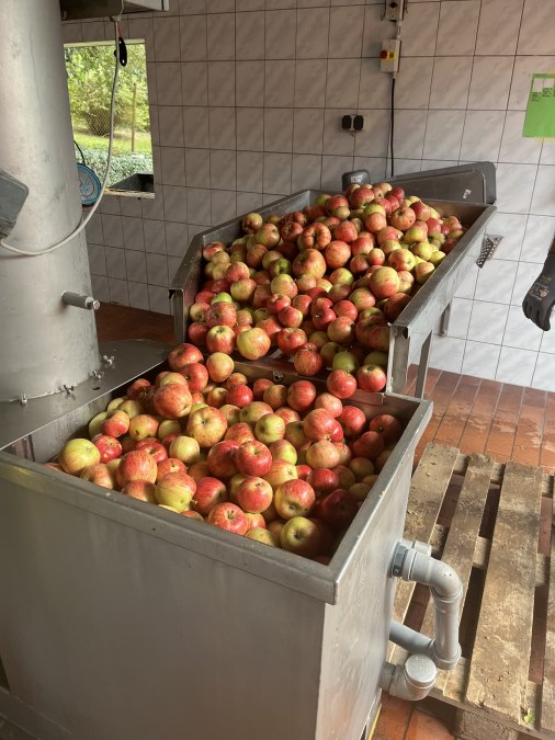 Mosterei_Äpfel, © Andreas Guba