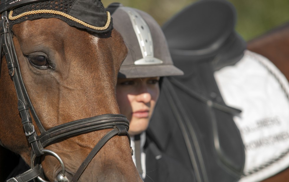 At riding courses in Mecklenburg-Western Pomerania, motivational badges and badge examinations can also be taken in various classes and riding styles, © TMV/ Hafemann