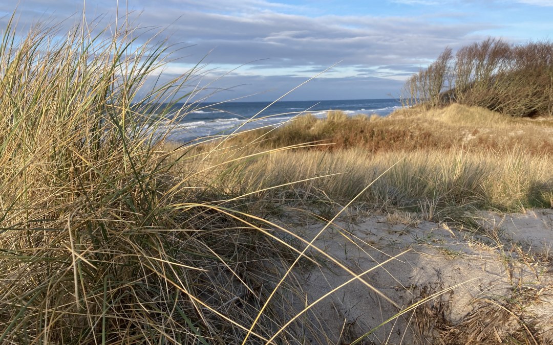 West Strand Winter, © Katrin Bärwald