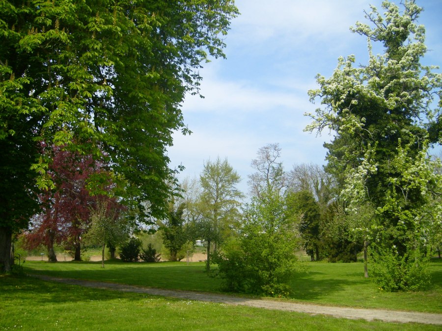 Park zamkowy, © Stadt Dargun