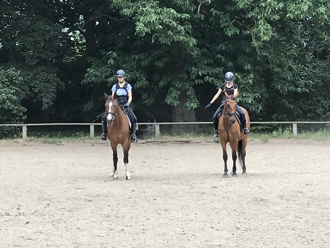Dressage training on the field in Daugzin // © Karoline Görs Dressage training on the field in Daugzin // © Karoline Görs