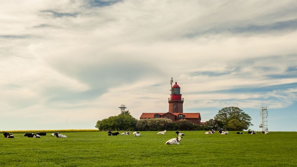 Vuurtoren van Bastorf met koeien, © VMO, Alexander Rudolph