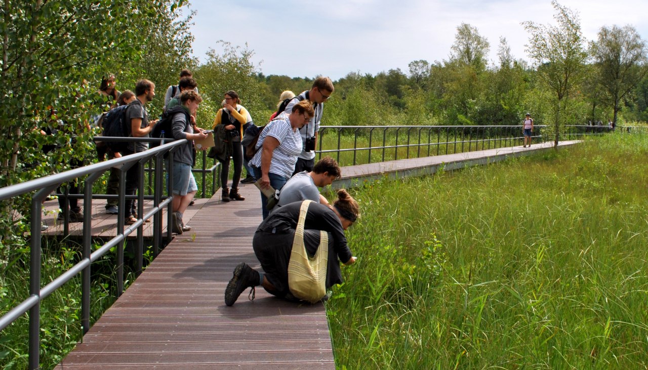 Moorsteg_Kalkflachmoor_elke_dornblut_biosphaerenreservatsamt_schaalsee_elbe, &copy; E. Dornblut, Biosph&auml;renreservatsamt Schaalsee-Elbe