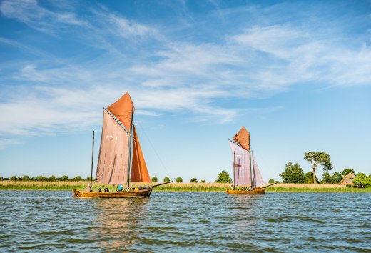 Two traditional Zeesboote boats with reddish-brown sails glide across the Bodden in the sunshine against the green backdrop of the shore.