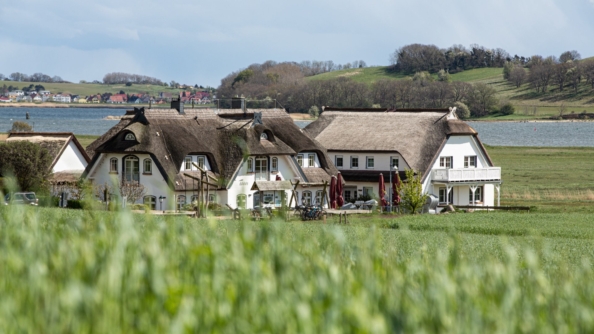 Thatched houses in the Southeast R&uuml;gen biosphere reserve, surrounded by green fields, a lake and rolling hills in the background.