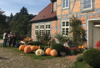 Pumpkins everywhere at the pumpkin festival in Alt Guthendorf // &copy; Martin Hagemann